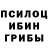 Галлюциногенные грибы Cubensis Zyrex So2