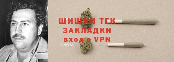 трава Белокуриха