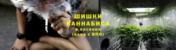 трава Белокуриха