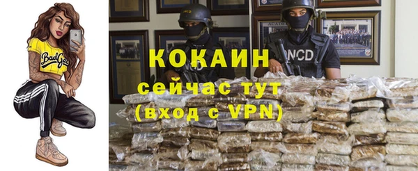 трава Белокуриха