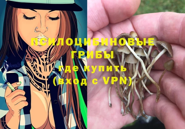 трава Белокуриха