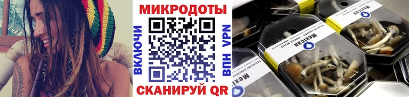 как найти Южноуральск Галлюциногенные грибы GOLDEN TEACHER